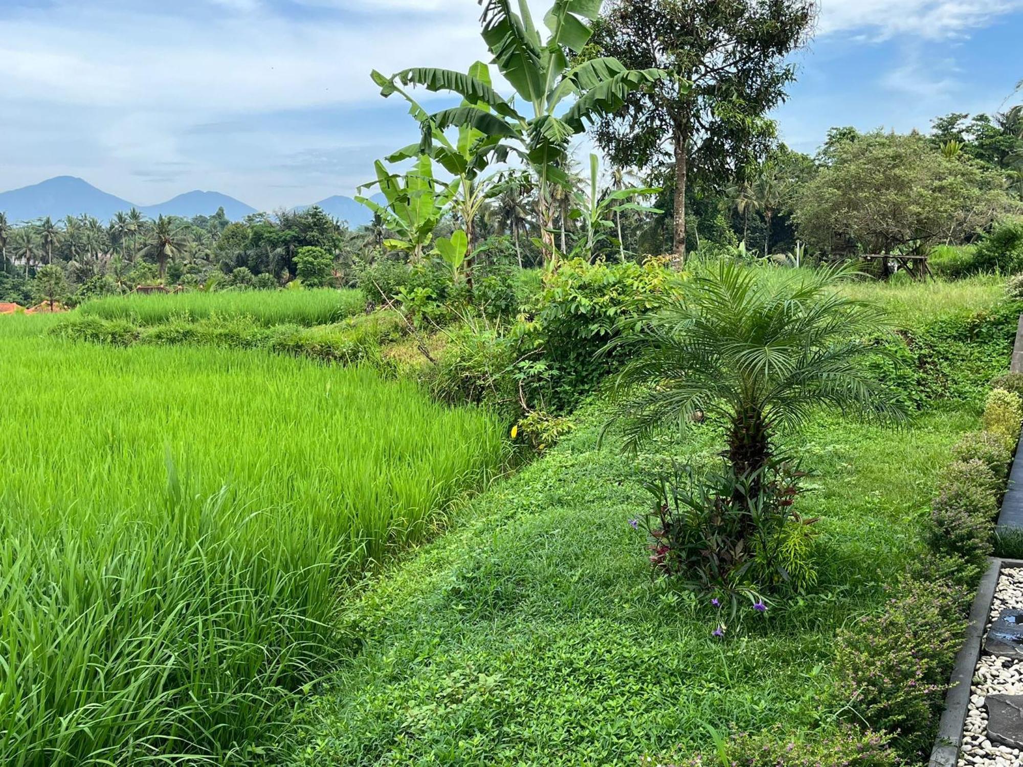 Maple Ridge Ubud Villas Exterior foto